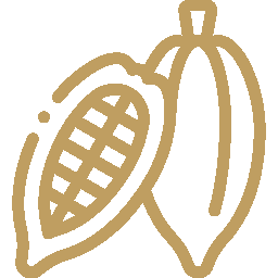 Cocoa Beans